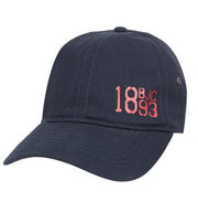WILLIE SIMMS NY 1893 CAP